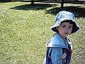 IMAG0003
