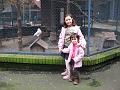 IMG_1950