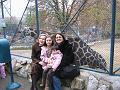 IMG_2006