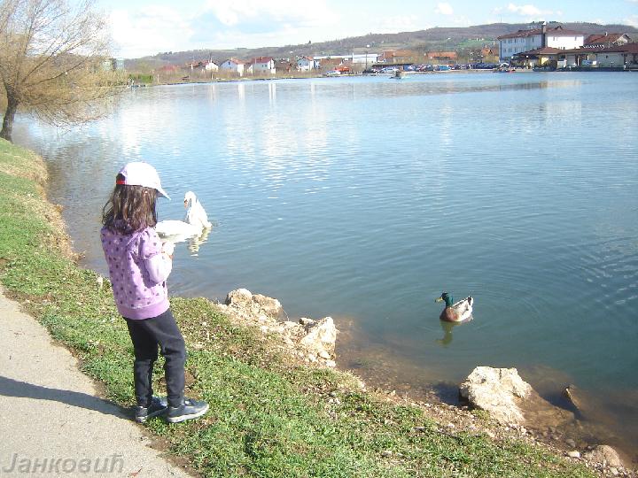 DSC06384.JPG