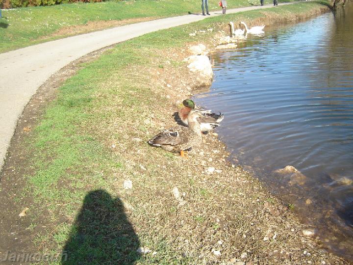 DSC06389.JPG