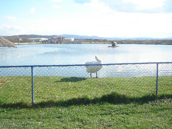 DSC06401.JPG
