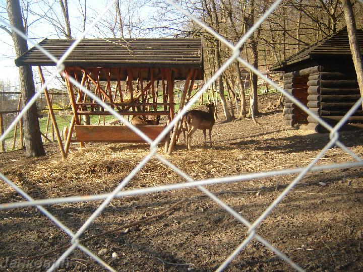 DSC06415.JPG