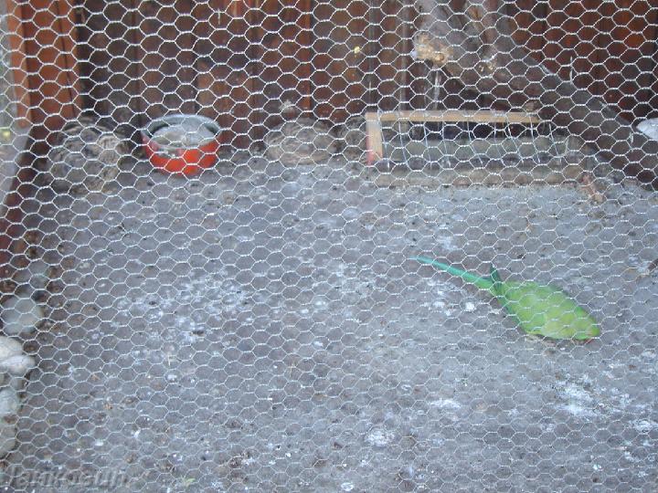 DSC06426.JPG