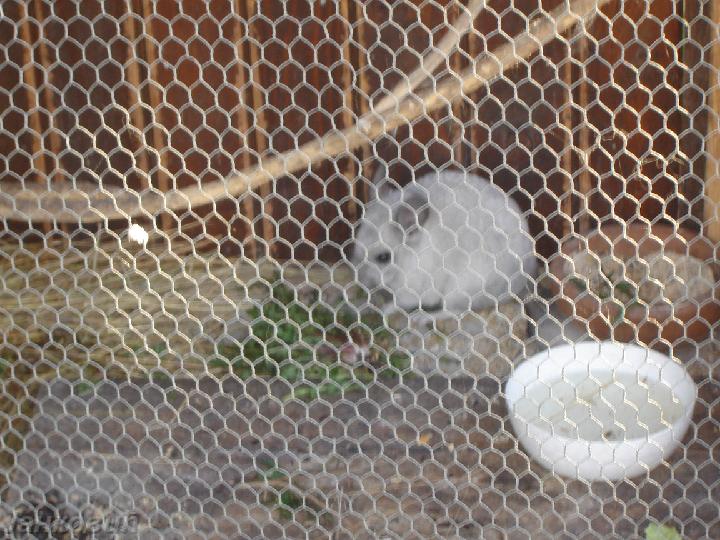 DSC06431.JPG