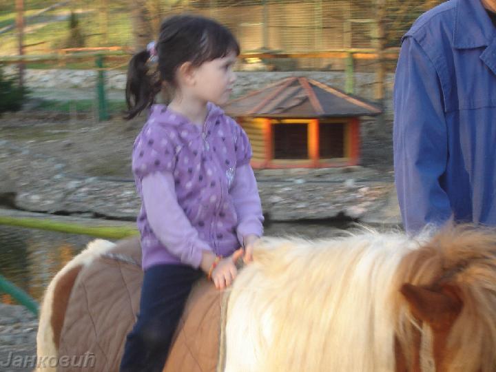 DSC06520.JPG