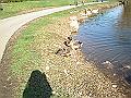DSC06389