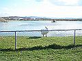 DSC06401