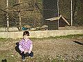 DSC06406