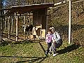 DSC06408