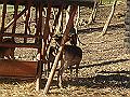 DSC06417