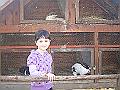 DSC06423