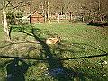 DSC06424