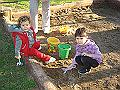 DSC06446