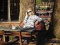 DSC06447